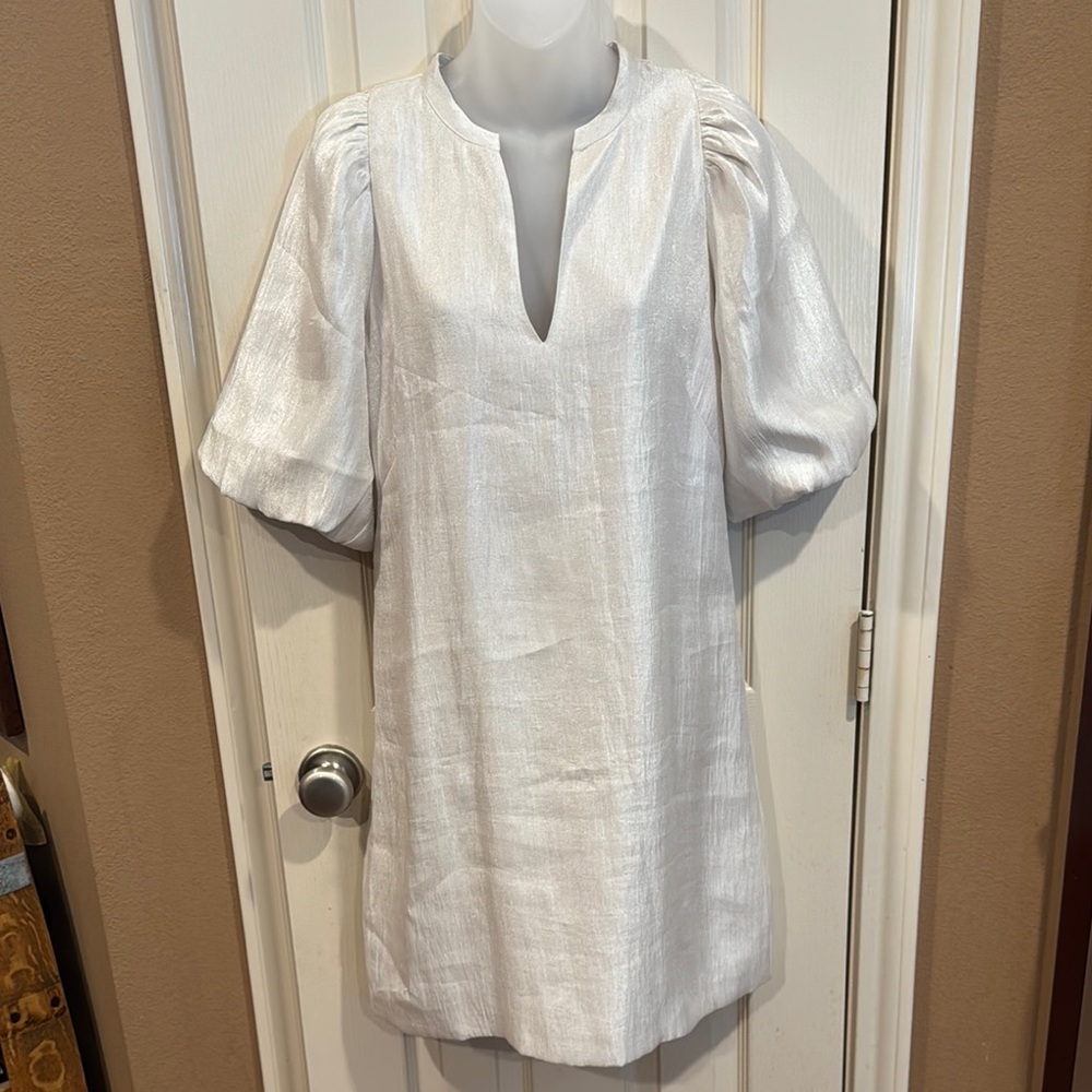 Ann Taylor Shimmery Dress. Sz 4